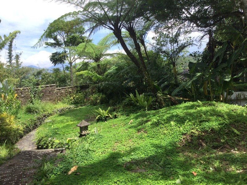 Land Freehold Nice VIew Payangan Ubud Bali