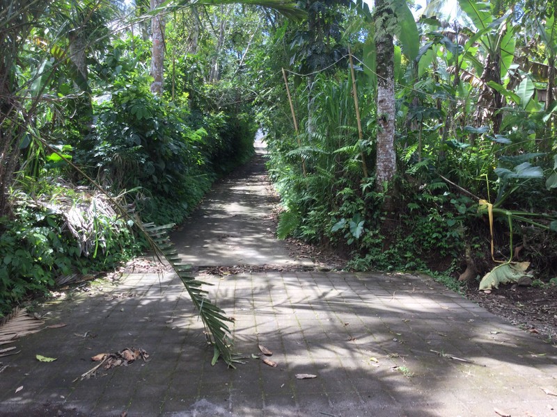 Land Freehold Nice VIew Payangan Ubud Bali