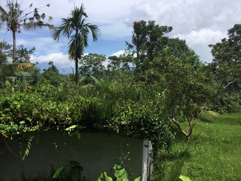 Land Freehold Nice VIew Payangan Ubud Bali