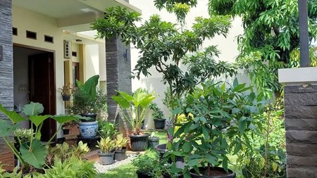 Rumah Mewah 2 Lantai di Bintaro - LT 315m2, Halaman Luas & Siap Huni (Nego)