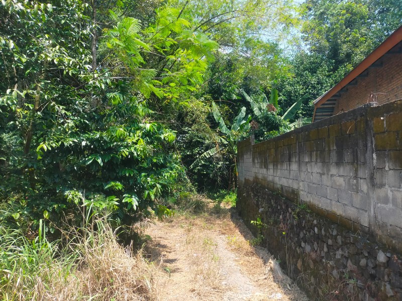 Lahan Luas & Strategis ± 2500 Meter di Sinduharjo, Ngaglik, Sleman  Cocok untuk Resto, Gudang, atau Usaha Kreatif