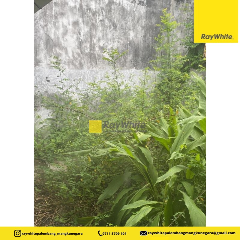 Tumah Tengah kota Palembang 