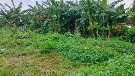 DIJUAL Tanah di Lokasi Strategis