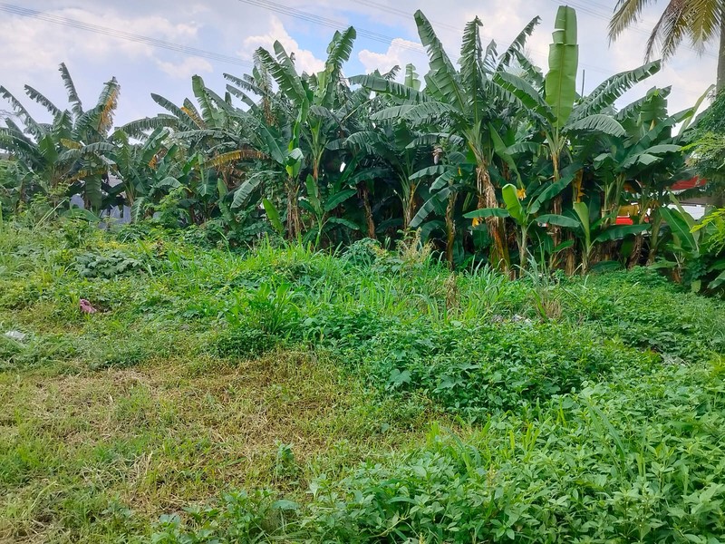 DIJUAL Tanah di Lokasi Strategis