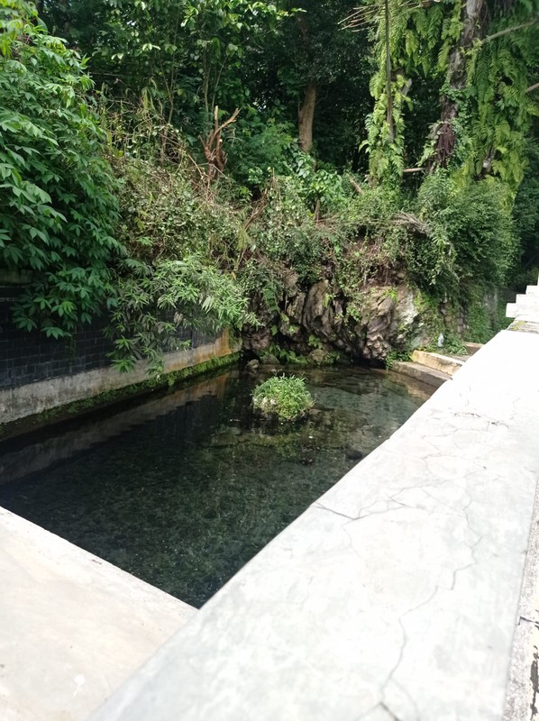 Aset Premium Pinggir Jalan Nasional Parakan Tanah Luas 2517 Meter Bonus Bangunan Besar & Mata Air Sendiri, Traji, Parakan, Temanggung