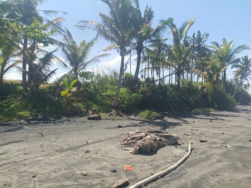 Land Freehold Beachfront Pasut Tabanan Bali