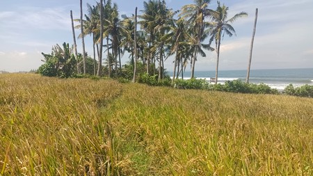 Land Freehold Beachfront Pasut Tabanan Bali