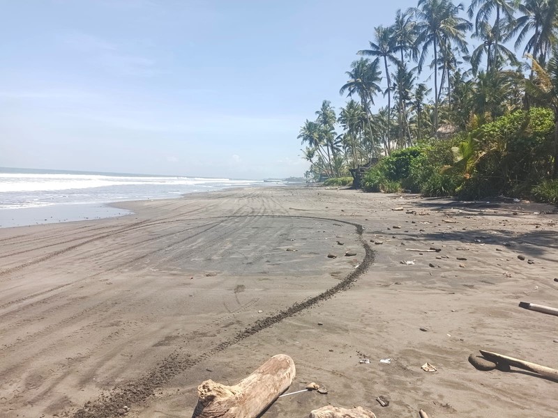 Land Freehold Beachfront Pasut Tabanan Bali
