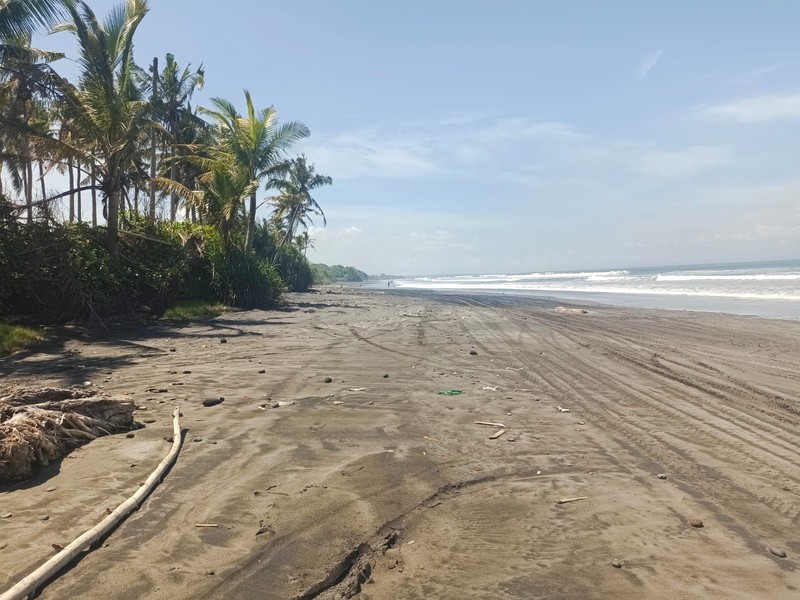 Land Freehold Beachfront Pasut Tabanan Bali