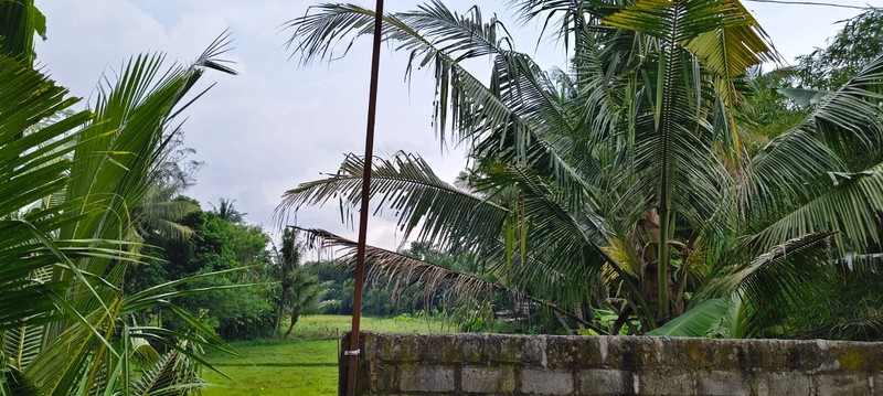 Tanah Kavling Siap Bangun Lokasi Strategis dalam Perum di Seyegan - Sleman 