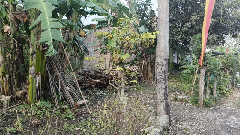 Tanah Pekarangan Lokasi Strategis di Pusat Kota Wonosari 