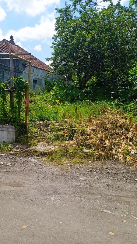 Tanah Pekarangan Luas 500 Meter Persegi Lokasi Strategis Dekat Hotel Hyatt Palagan - Ngaglik Sleman 