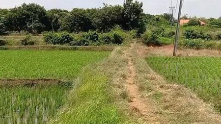 Kavling Kampung Jaringao, Pabuaran Subang Dekat kawasan Industri