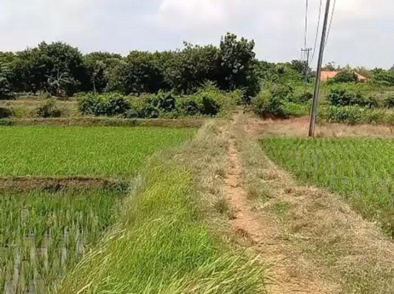 Kavling Kampung Jaringao, Pabuaran Subang Dekat kawasan Industri