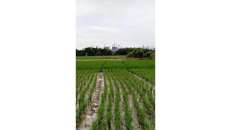 Kavling Kampung Jaringao, Pabuaran Subang Dekat kawasan Industri