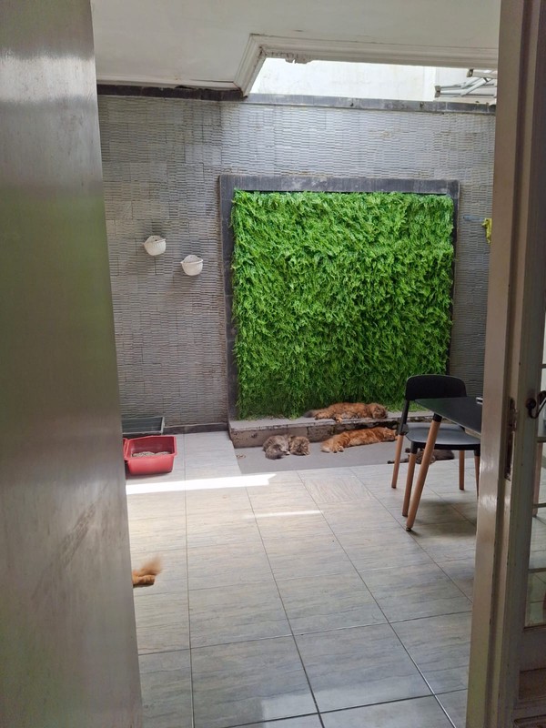 Rumah SHM Tropical Residence Pondok Chandra Siap Huni