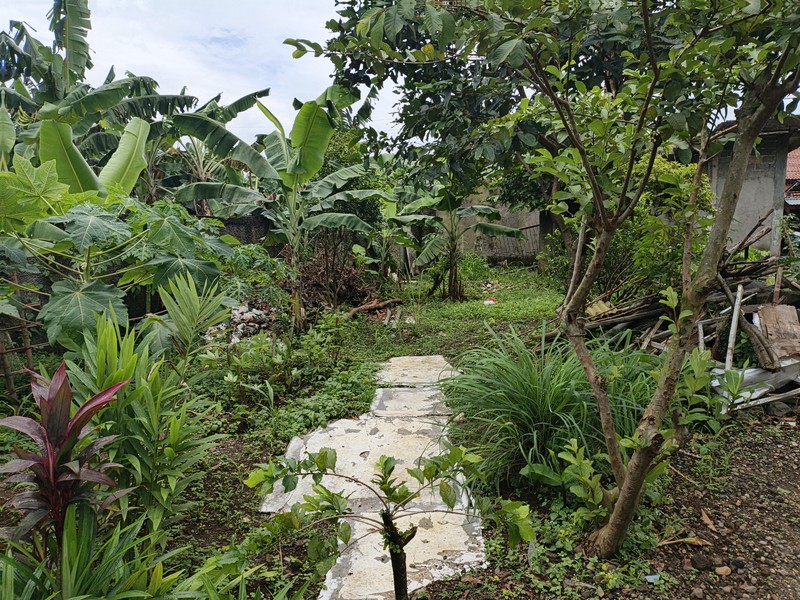 Investasi Anti-Rugi! Lebih dari 20 Kamar Kos Aktif dan Sisa Lahan Luas di Jantung Bojonggede, 5 menit dari stasiun