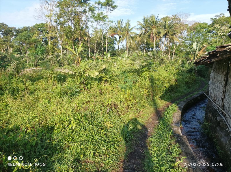 Tanah Sawah Lokasi Strategis Dekat Kawasan Wisata Kaliurang - Pakem Sleman 