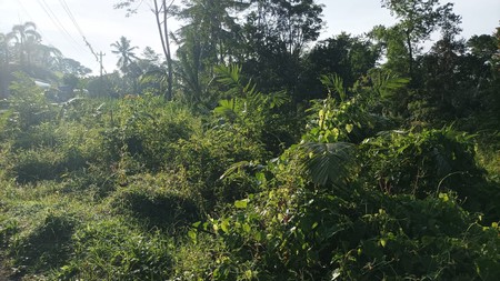 Tanah Sawah Lokasi Strategis Dekat Kawasan Wisata Kaliurang - Pakem Sleman 