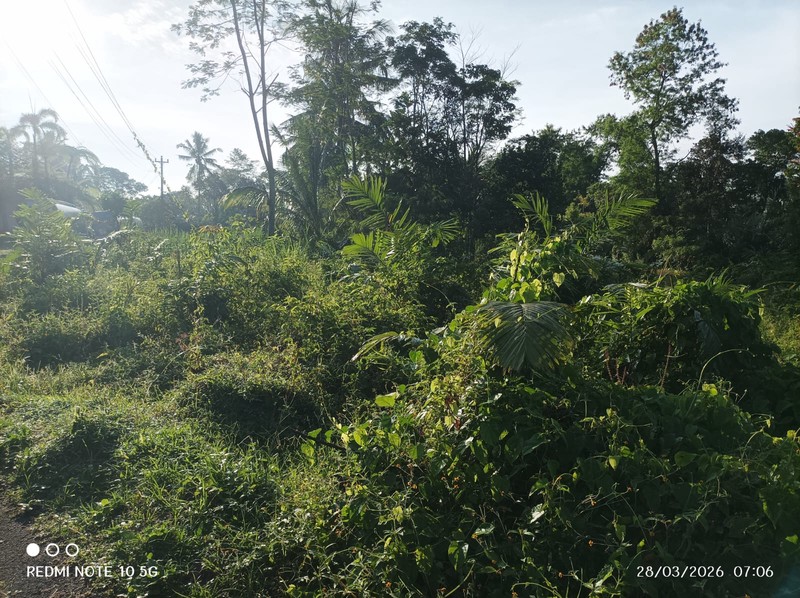 Tanah Sawah Lokasi Strategis Dekat Kawasan Wisata Kaliurang - Pakem Sleman 