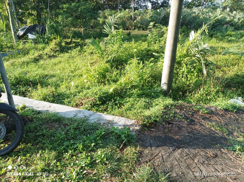 Tanah Sawah Lokasi Strategis Dekat Kawasan Wisata Kaliurang - Pakem Sleman 