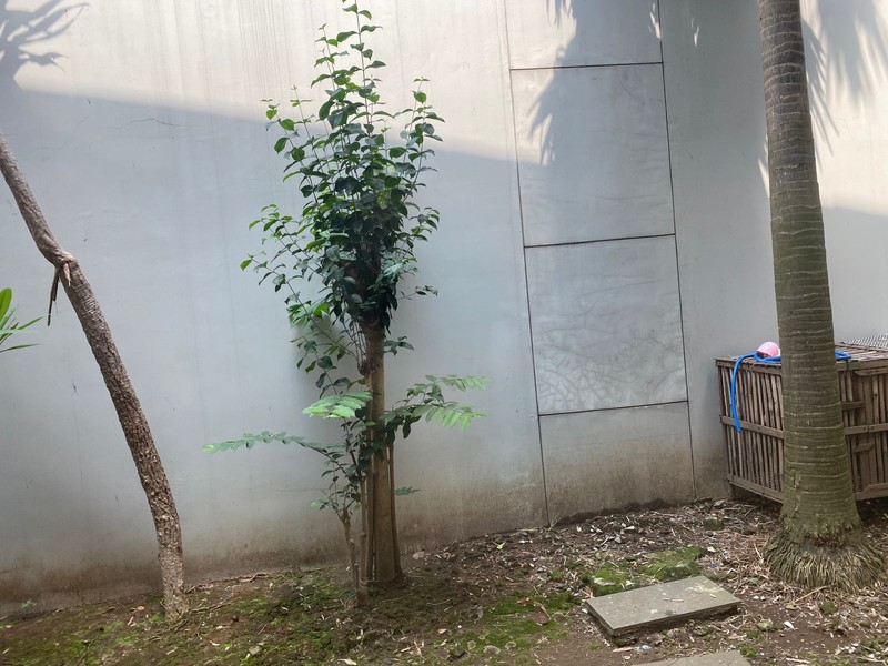 Di Jual - Rumah Green Land Residence Cluster The Armaya, Menganti Gresik