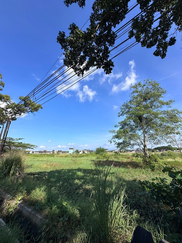 Dijual Tanah Industri Strategis yang berlokasi di koridor nasional jalan Jogja Solo - Meger, Kec. Ceper, Kab. Klaten, Jawa Tengah Salah satu jalur utama aktivitas industri dan logistik