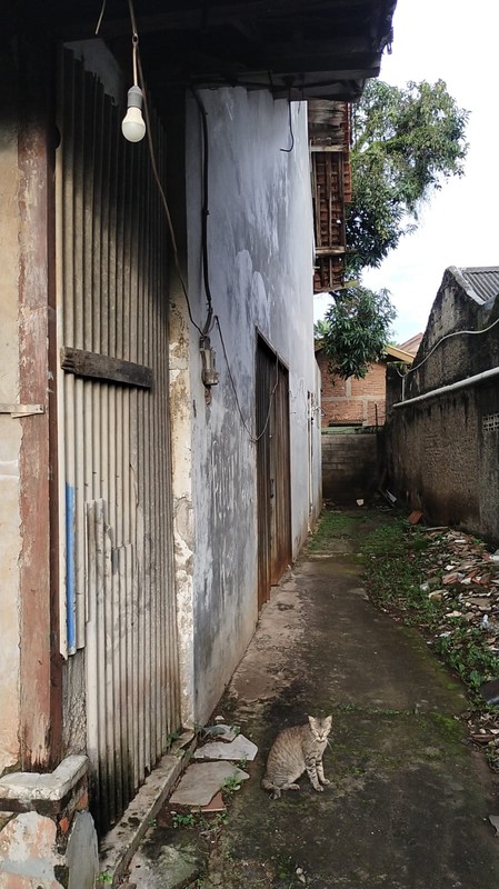 Kavling Strategis di Ciputat - Luas 298 m², SHM, Harga Rp 4,5 Juta/m² Nego!