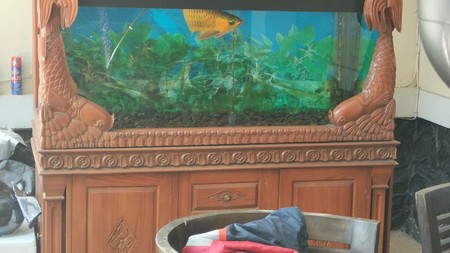 Legacy & Elegance: Miliki Kediaman Mewah di Jalan Surabaya, Menteng