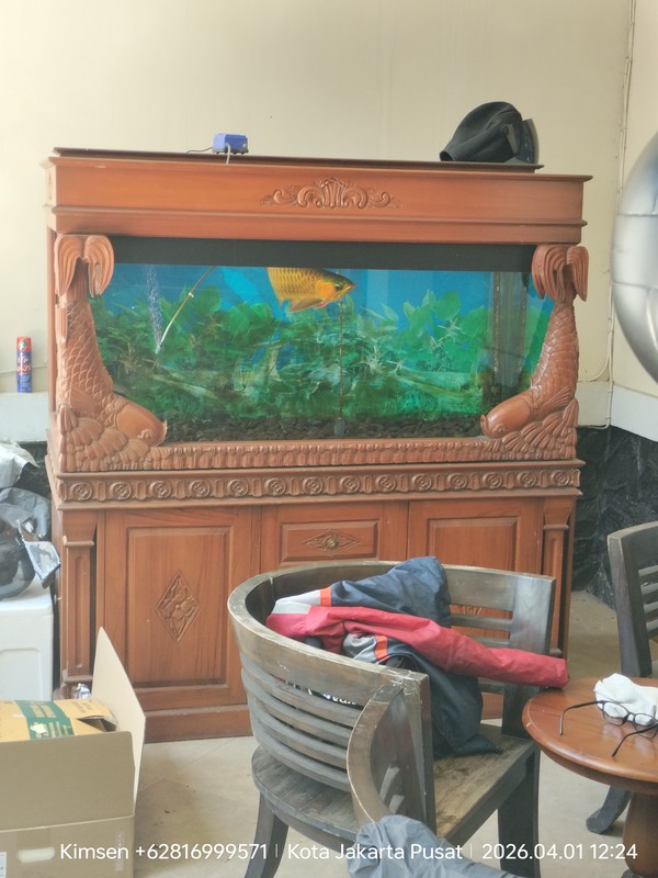 Legacy & Elegance: Miliki Kediaman Mewah di Jalan Surabaya, Menteng