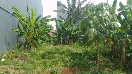 Tanah Siap Bangun di BSD - Bumi Puspiptek Asri | Lingkungan Asri & Berkembang