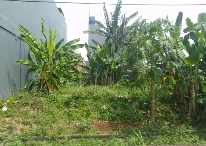 Tanah Siap Bangun di BSD - Bumi Puspiptek Asri | Lingkungan Asri & Berkembang