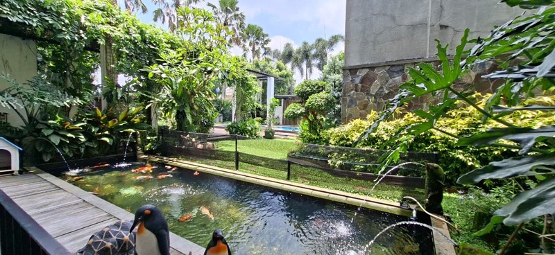 Rumah Dengan Taman Nyaman Seluas Samudera Di Cipete Utara Jaksel