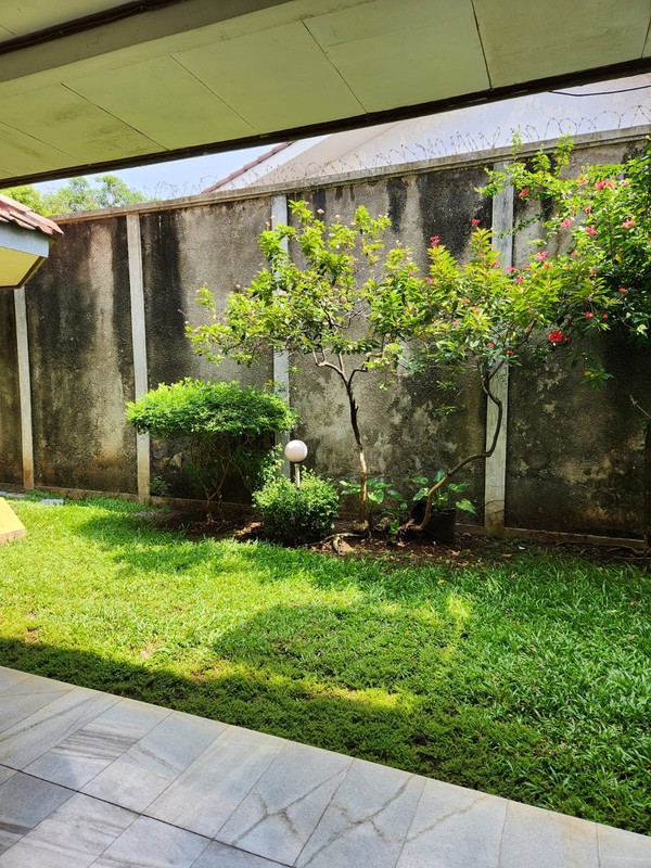 Homey and Tranquil Furnished 6 BR House