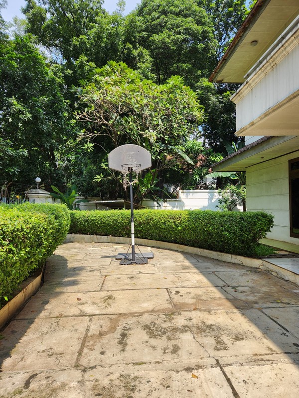 Homey and Tranquil Furnished 6 BR House