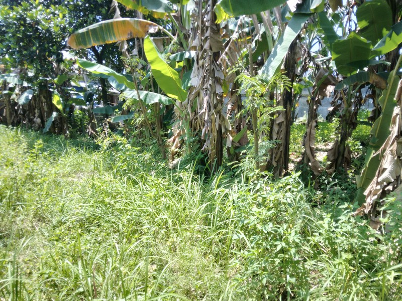 KAVING LUAS DEKAT MASJID DI BUKIT CILEUNGSI INDAH KLAPA NUNGGAL HARGA NEGO