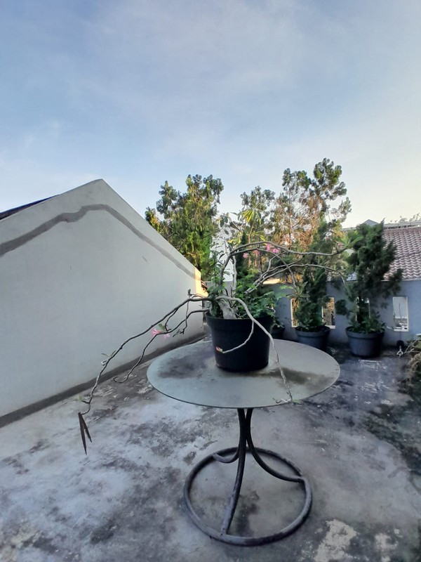 Rumah Cozy & Terawat di Rempoa 1,5 Lantai 10 Menit ke MRT Lebak Bulus