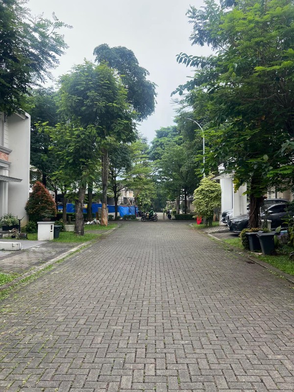 Jarang Ada. Rumah bagus Greenwich Park Hyland, BSD