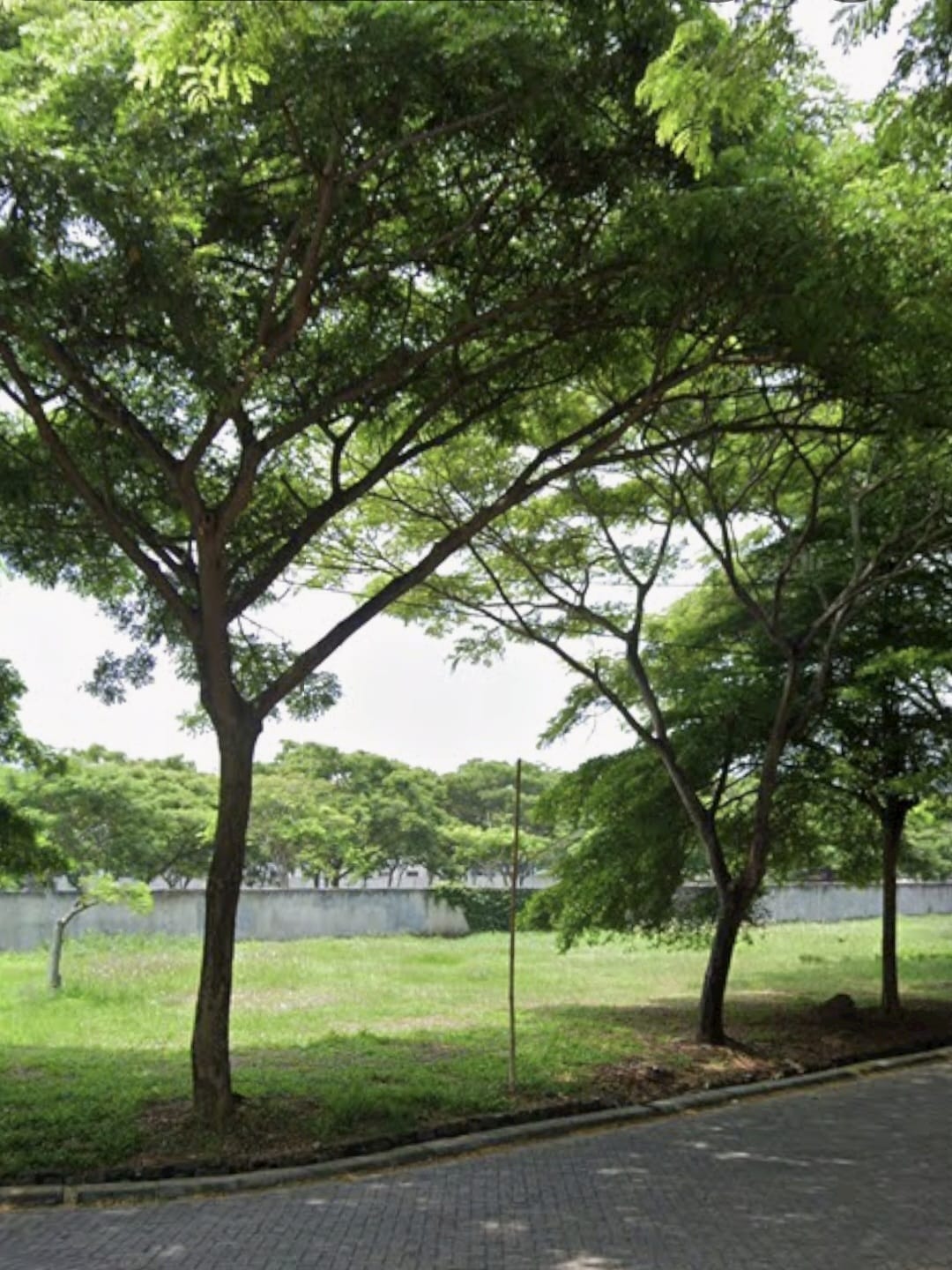 Kavling tanah perumahan Hoek ,siap bangun harga nego di Visenda Residence Serang