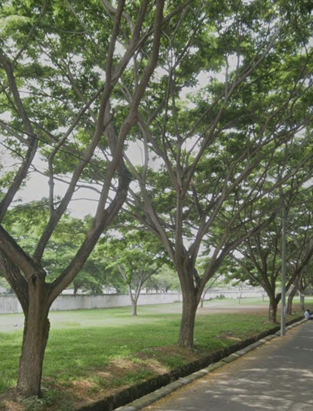 Kavling tanah perumahan Hoek ,siap bangun harga nego di Visenda Residence Serang