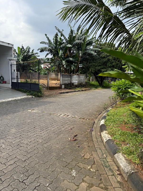 DISEWAKAN RUMAH MEWAH DI CINERE