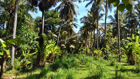 Strategic 1500 sqm Land in Air Sanih - Perfect for Residential Development