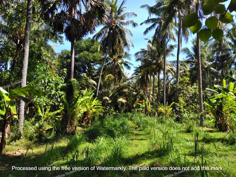 Strategic 1500 sqm Land in Air Sanih - Perfect for Residential Development