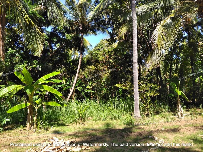 Strategic 1500 sqm Land in Air Sanih - Perfect for Residential Development