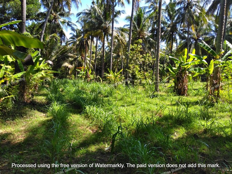 Strategic 1500 sqm Land in Air Sanih - Perfect for Residential Development