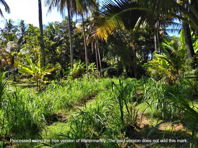 Strategic 1500 sqm Land in Air Sanih - Perfect for Residential Development