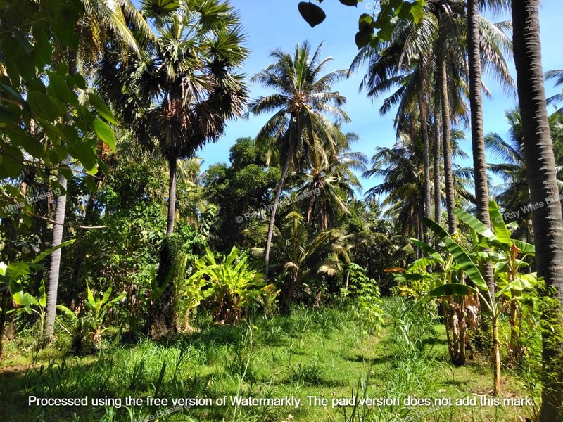 Strategic 1500 sqm Land in Air Sanih - Perfect for Residential Development