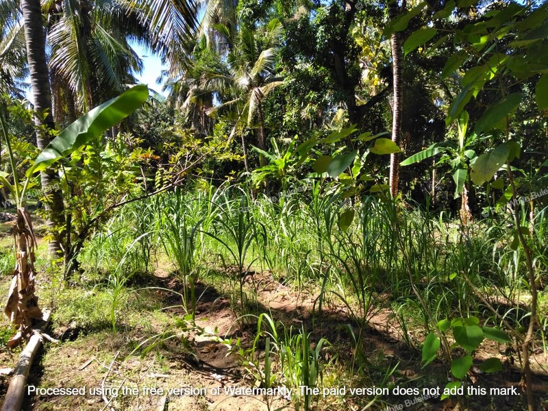 Strategic 1500 sqm Land in Air Sanih - Perfect for Residential Development