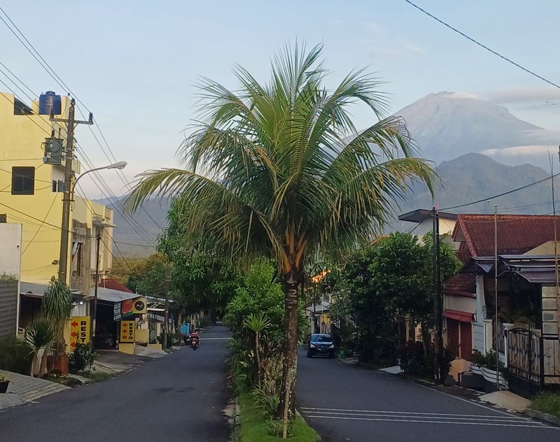 Peluang Investasi Gedung 3 Lantai (Kost, Resto & Homestay) di Magelang Utara Dekat Kampus & RS Utama