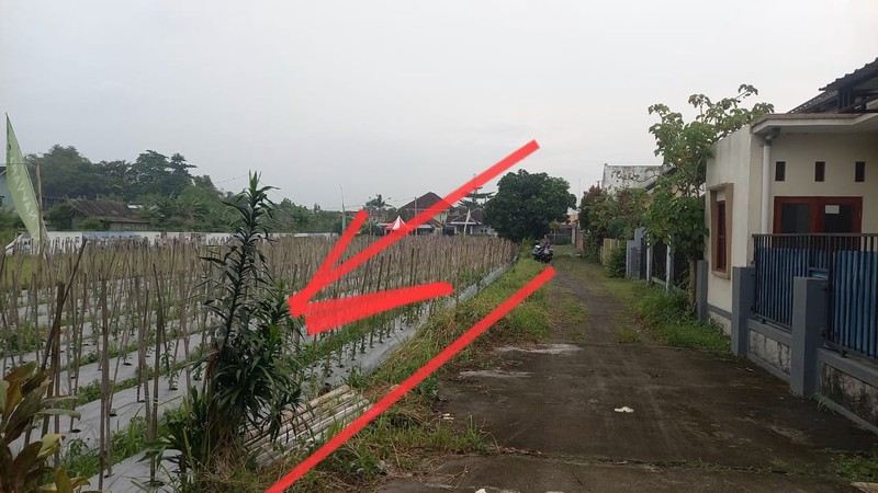 Tanah Strategis 2621 Meter Persegi di Jalan Kebon Agung, Sleman Cocok Untuk Investasi/Cluster